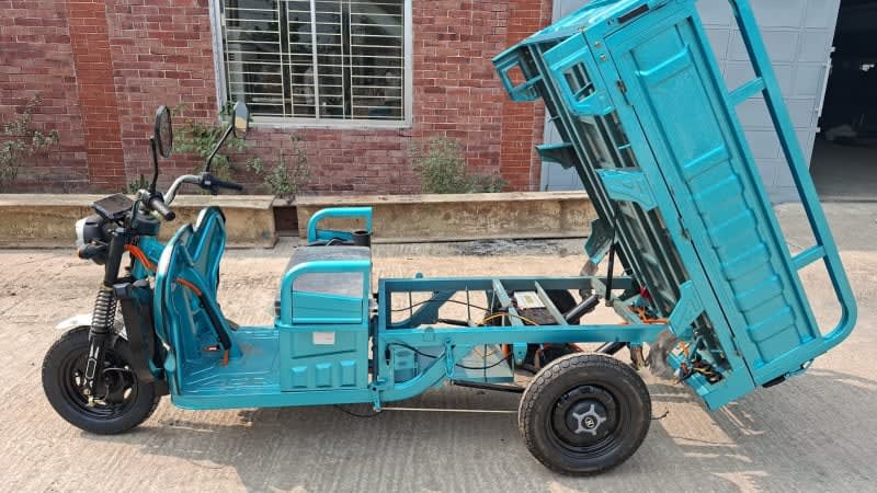 Sandi Electronics Cargo Van Tricycle